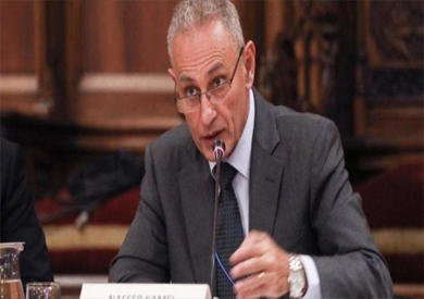 السفير ناصر كامل أمين